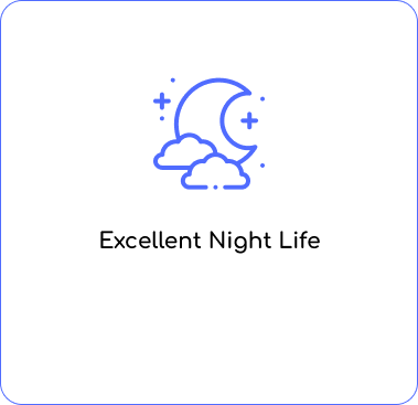 excellent-night-life excellent-night-life